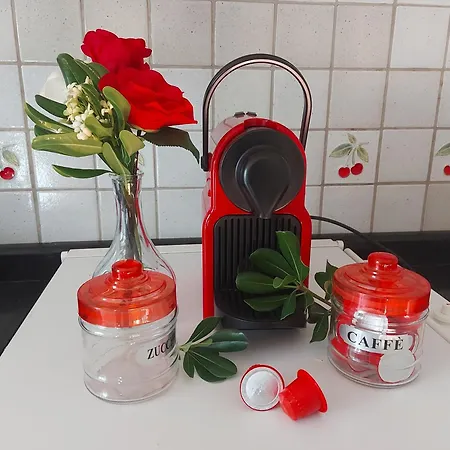 Silvana * タラント